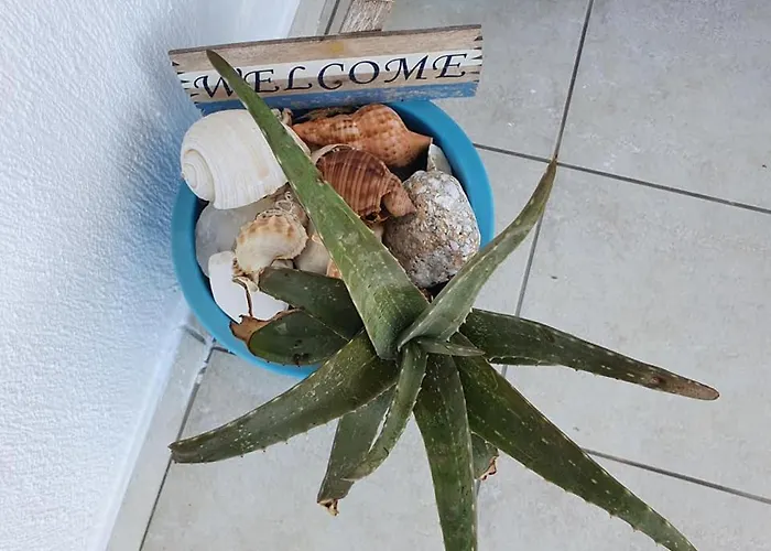 Rodothea And Adams On The Beach, Santorini *