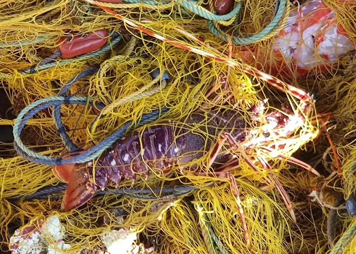 Apartmán Rodothea And Adams On The Beach, Santorini Monolithos