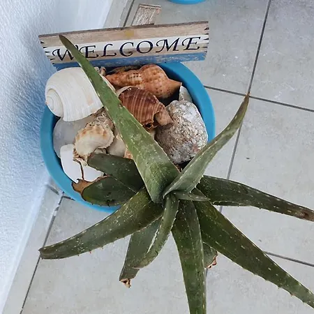 Rodothea And Adams On The Beach, Santorini *