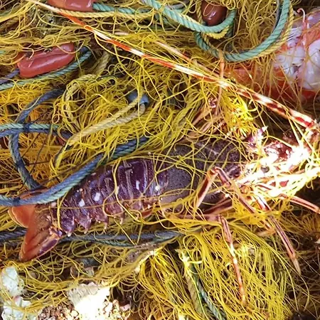 Апартаменты Rodothea And Adams On The Beach, Santorini Монолитос