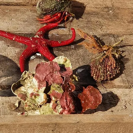 Rodothea And Adams On The Beach, Santorini Daire *