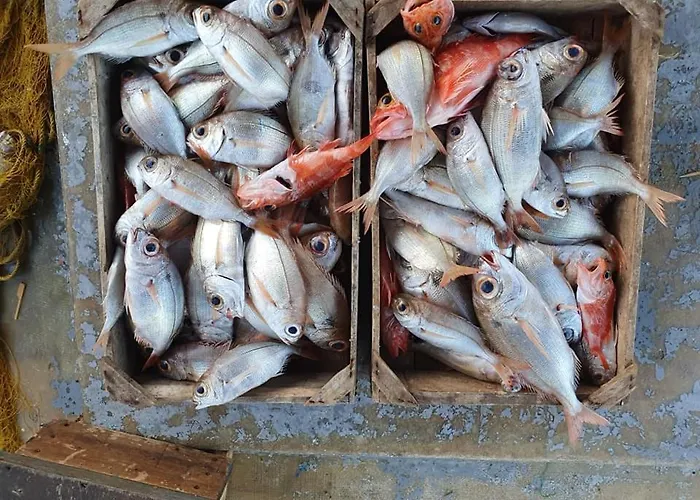 Rodothea And Adams On The Beach, Santorini Monolithos (Santorini)