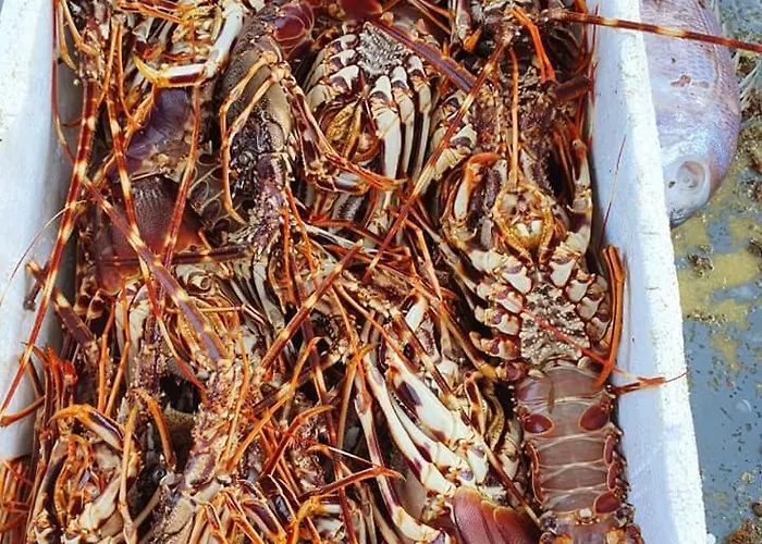 Rodothea And Adams On The Beach, Santorini Monolithos (Santorini)